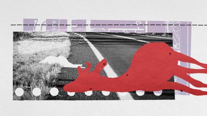 Photo collage of a road, and silhouettes of dead animals.