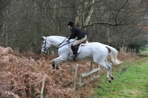 Surrey Union Hunt 04 12 2014
