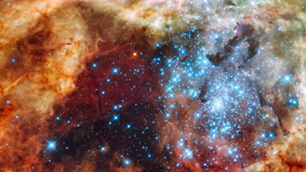 Das Hubble-Weltraumteleskop begeistert mit einem kosmischen Osterei – 500 blauen und roten Sternen