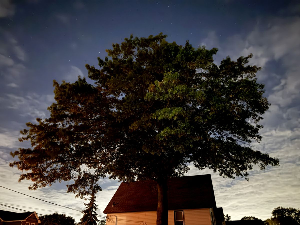 Apple iPhone 16 Pro Max low light sample.