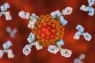 a coronavirus being attacked by antibodies