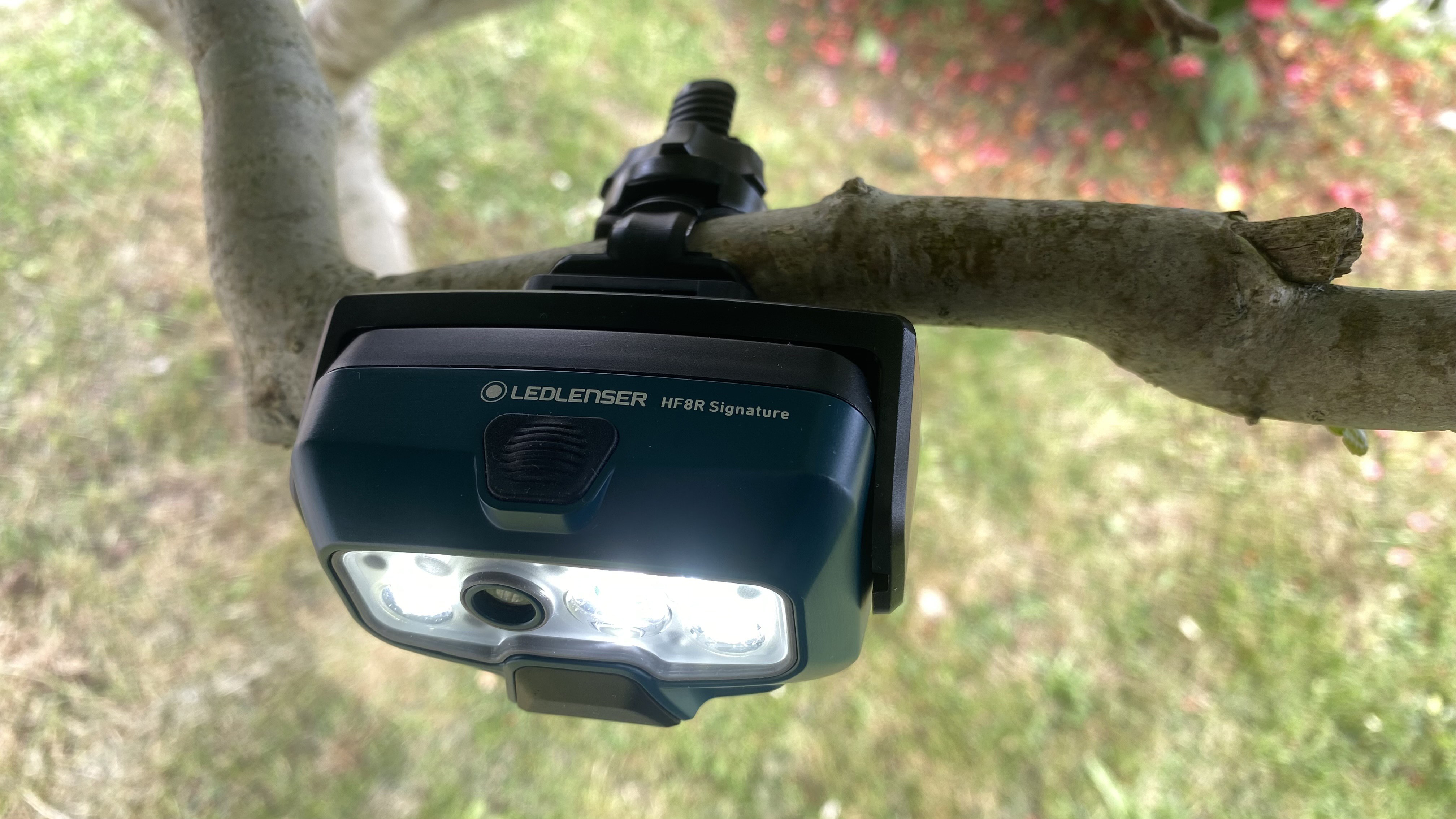 LedLenser HF8R Signature positioned in the bracket and attached to a tree branch