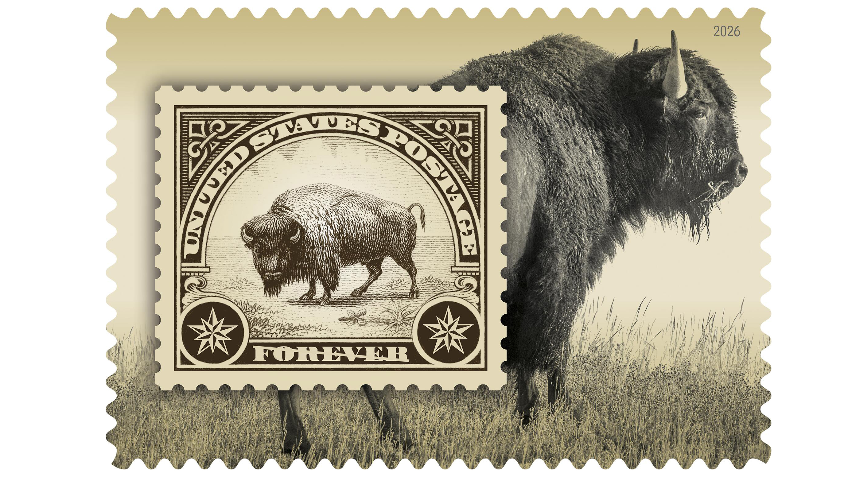 The 2026 USPS postage stamp with Tom Murphy's photograph