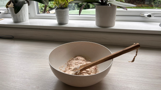 The ingredients for homemade cat treats in a bowl with a wooden spoon