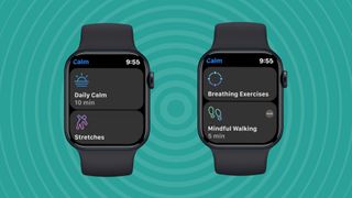 Calm app on Apple Watch