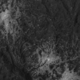 This close-up image of sodium carbonate deposits inside Occator Crater was obtained by NASA's Dawn spacecraft on June 14, 2018, from an altitude of about 24 miles (39 kilometers).