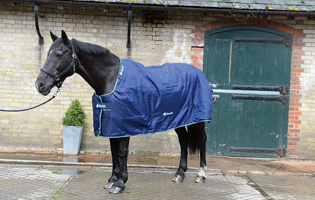 Review of Turn-out rugs; Rug No1 Bucas Smartex Medium, at Wild Farm Equestrian, near Watford in Hertfordshire, UK on 1st September 2015