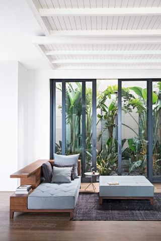 Small courtyard garden with large palms