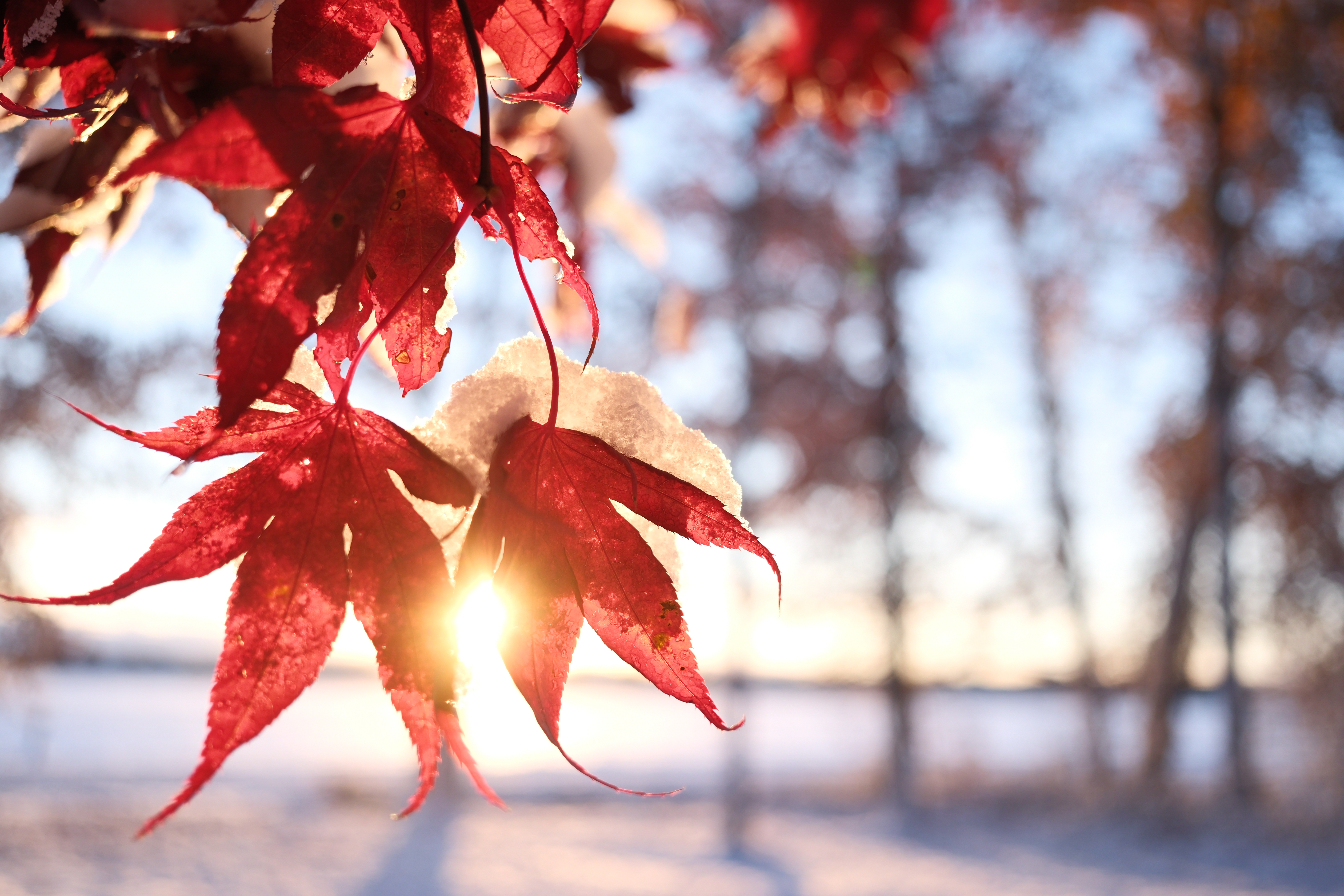 A photograph taken with the Fujifilm XF 23mm f/2.8 R WR and the X-E5