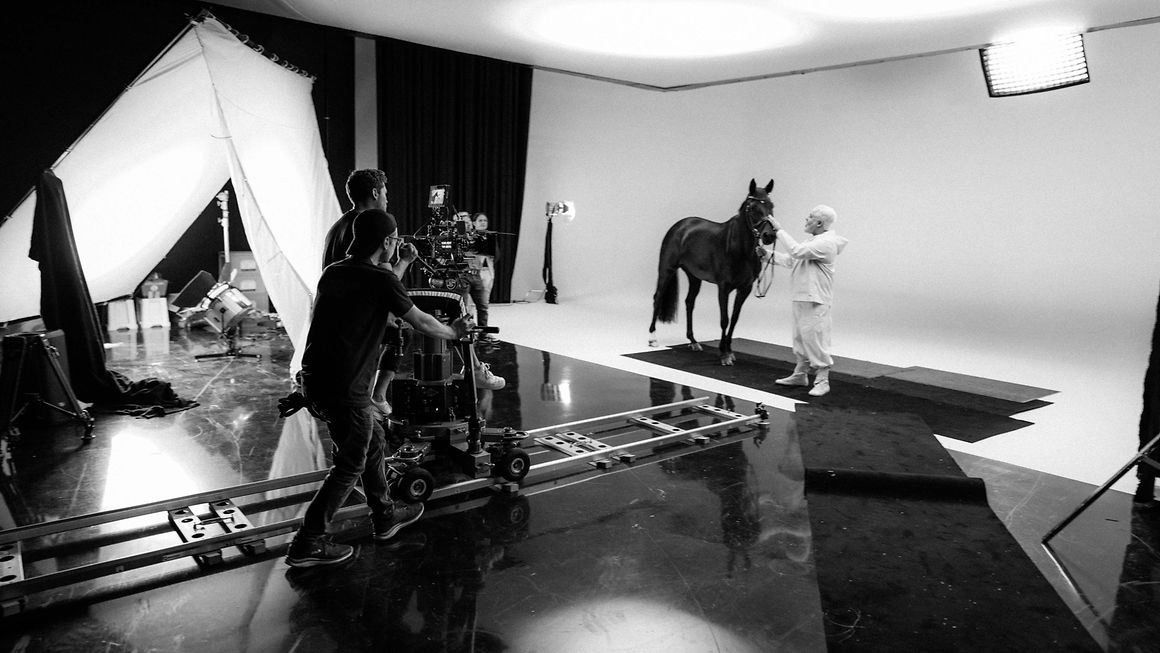 Arri Monochrome cameras