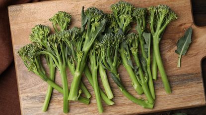 Fresh harvested raw broccolini laid out on a wooden board