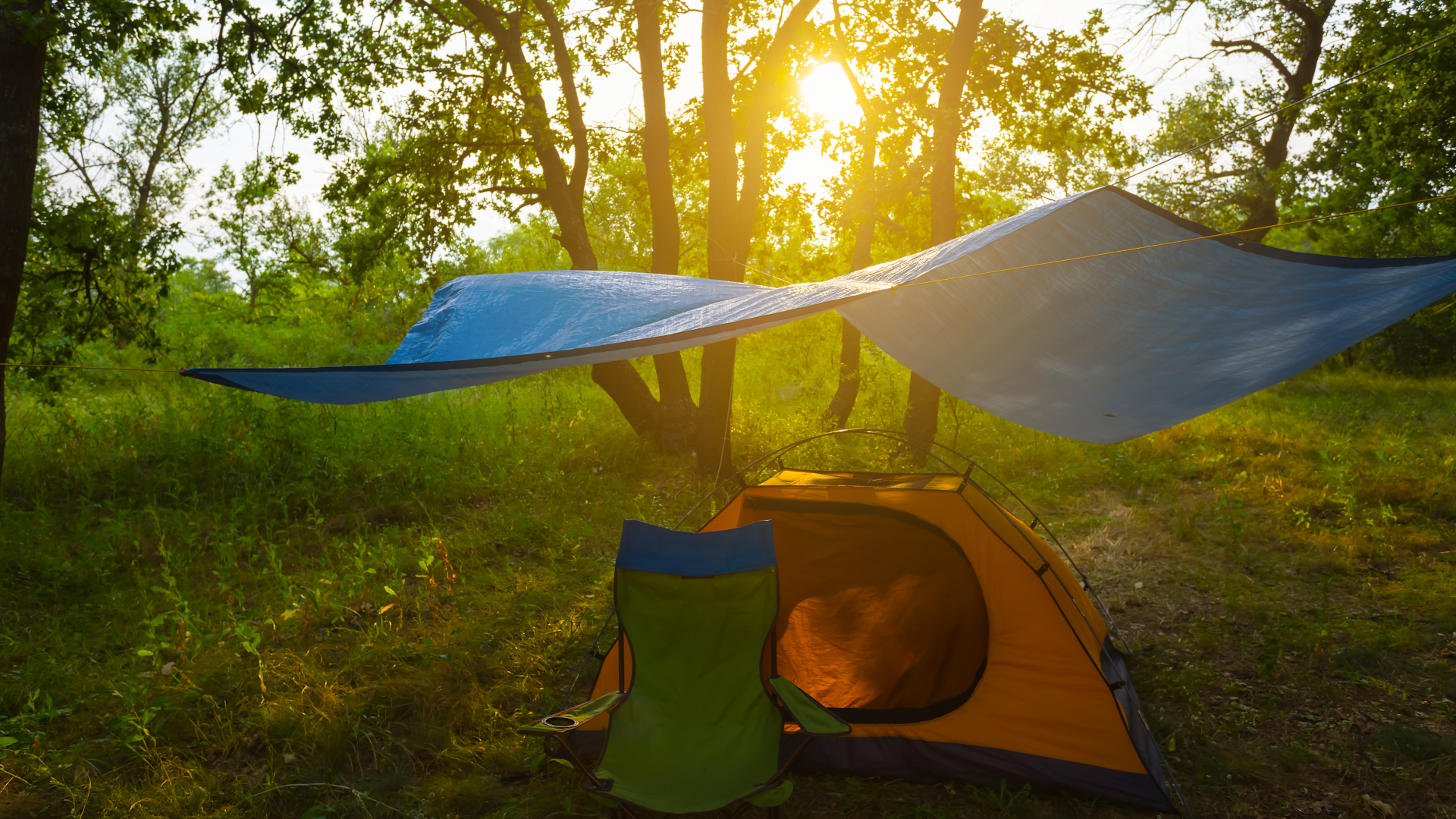 A tarp