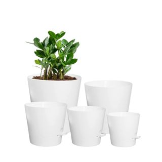 A collection of five white self watering planters, with the top left one containing a green plant