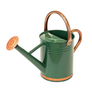 Green and wooden watering can