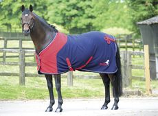 windsor-show-rug.jpg