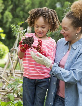 Best plants to grow with kids