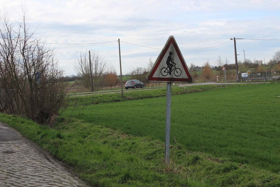 Only bicycles here