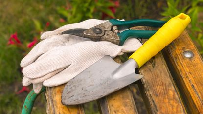 dirty set of secateurs and a garden trowel on top of a pair of gardening gloves
