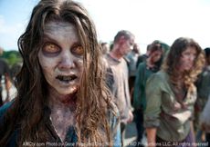 the walking dead tv series