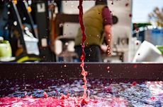 NY_KJR-5-press-Stu-Gallagher-Photography-and-Finger-Lakes-Wine-Alliance..jpg