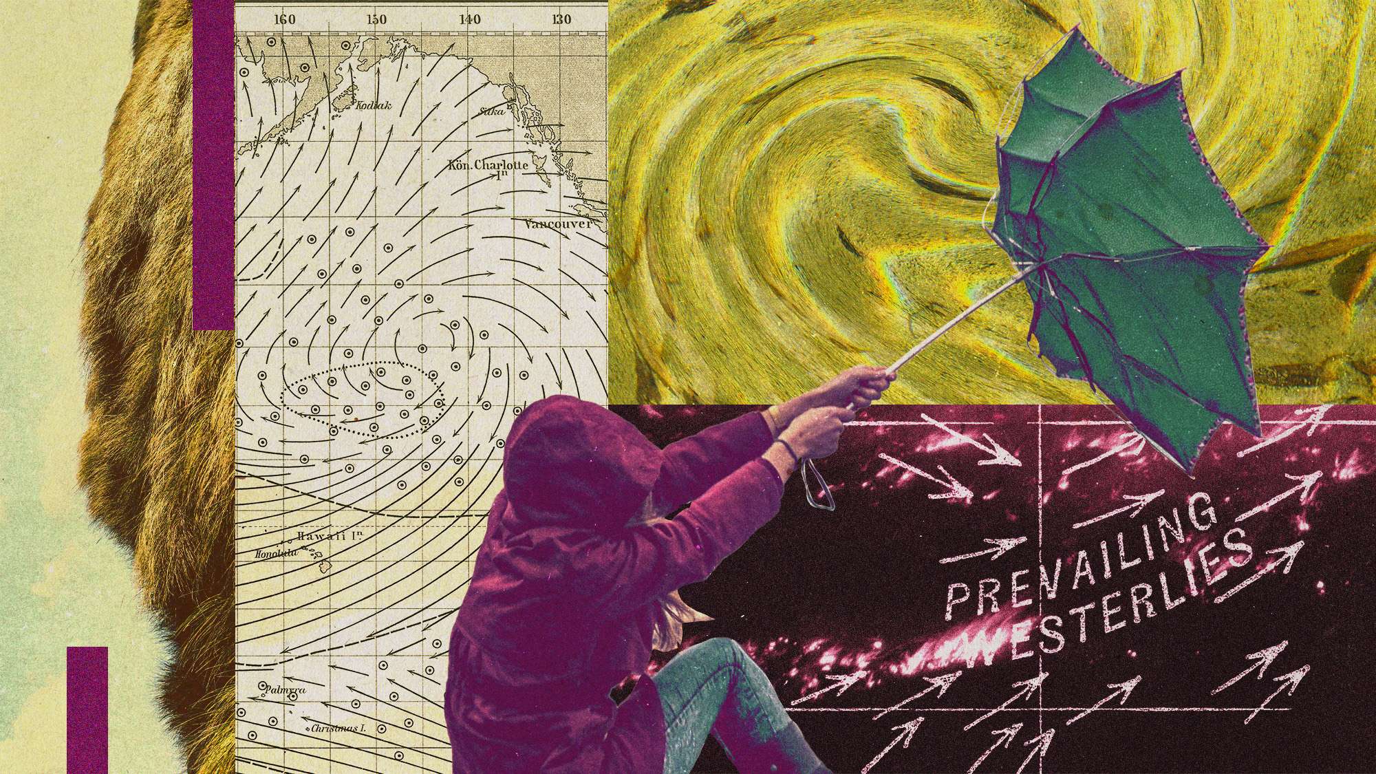 Photo collage of a person holding on to an umbrella buffeted by the wind, currents and isobaric lines