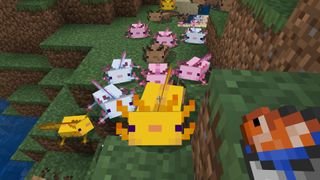 capture and tame axolotls in Minecraft 1.17