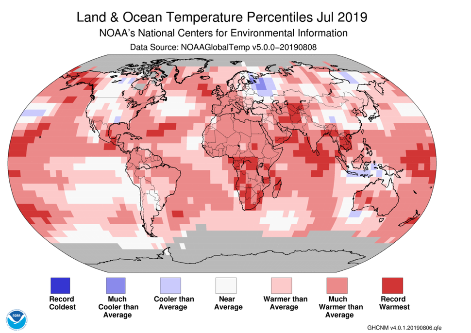 July Was the Hottest Month Ever Recorded on Earth