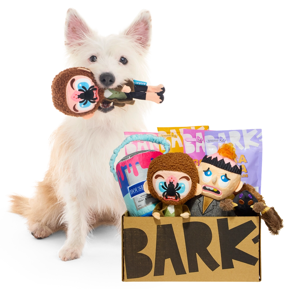 The BarkBox 'Home Alone' special showing whats included in the box