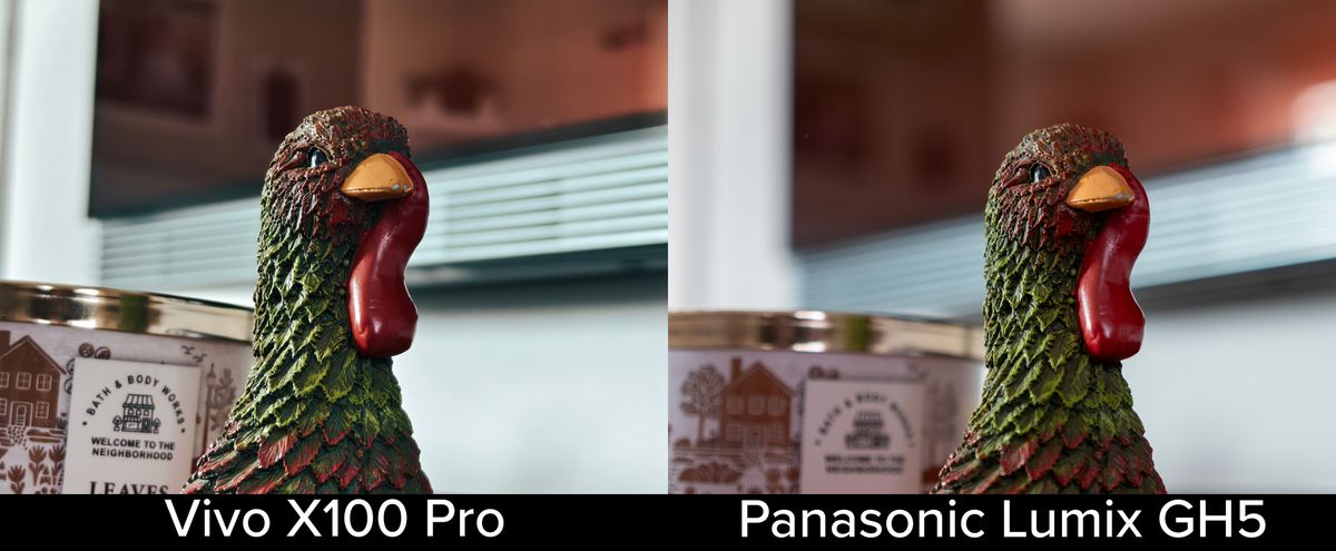 Comparing camera samples from the Vivo X100 Pro against ones from a Panasonic Lumix GH5