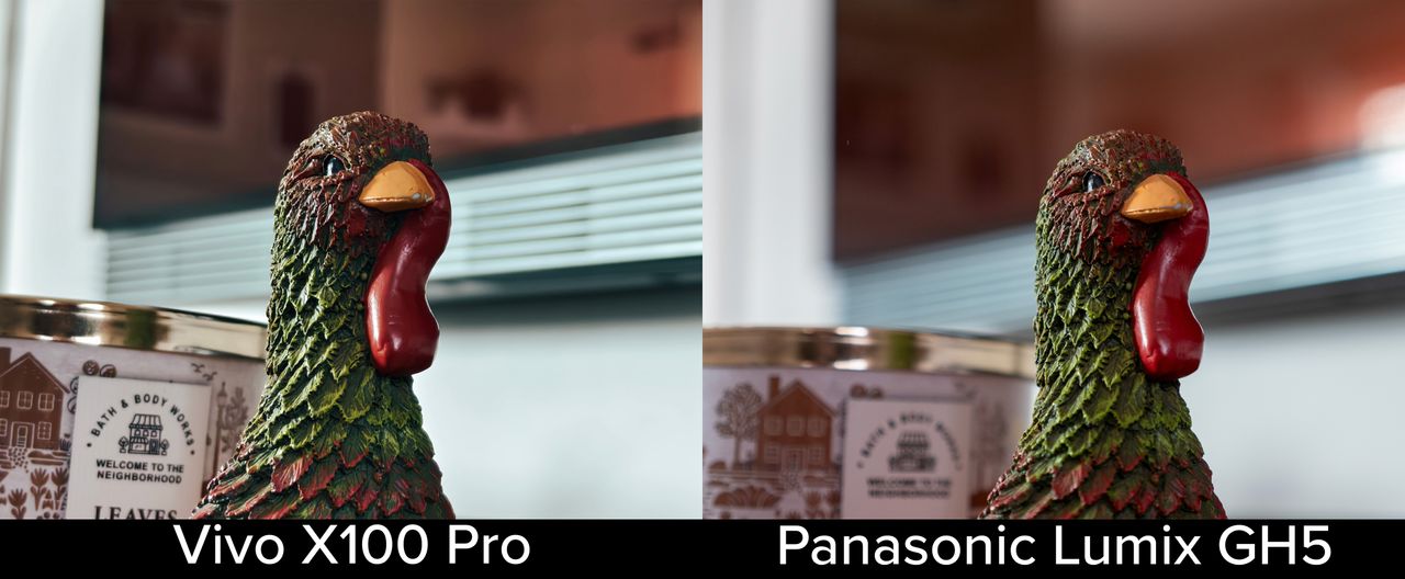 Comparing camera samples from the Vivo X100 Pro against ones from a Panasonic Lumix GH5