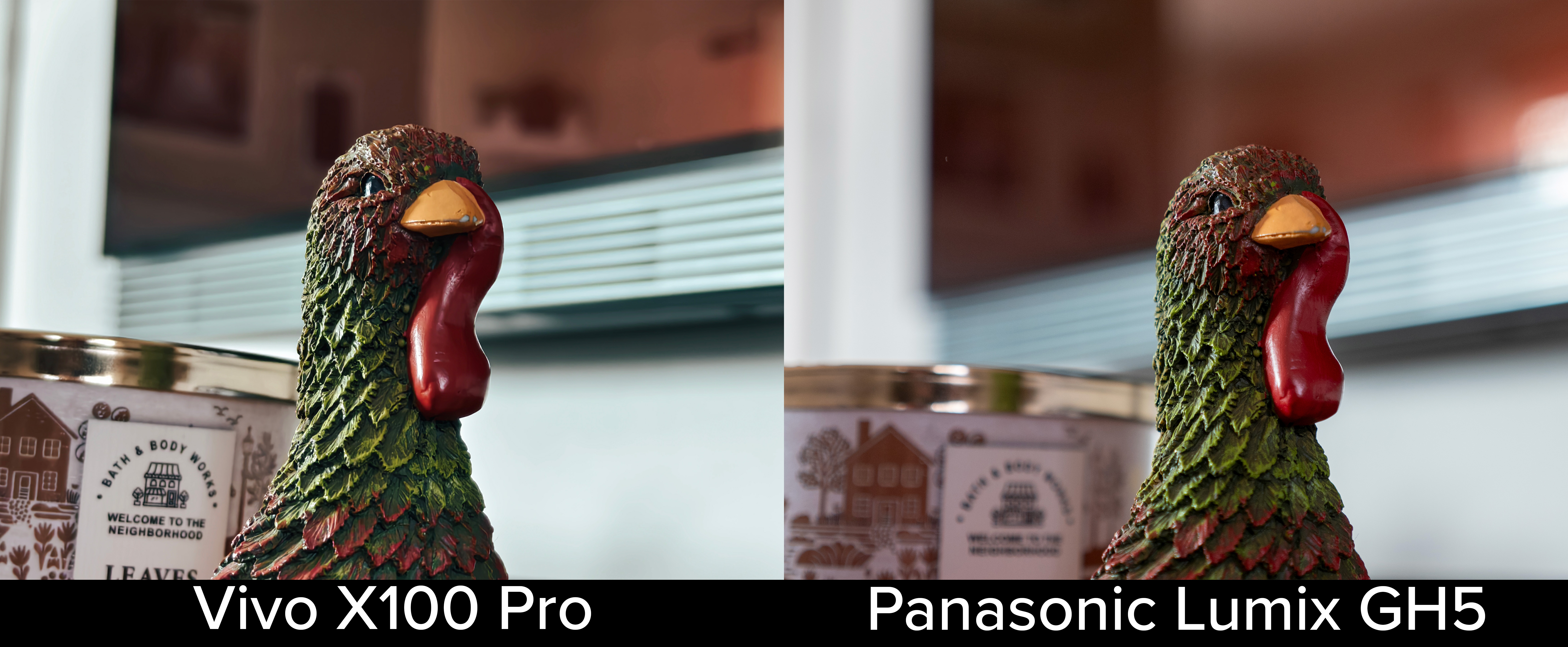 Comparing camera samples from the Vivo X100 Pro against ones from a Panasonic Lumix GH5