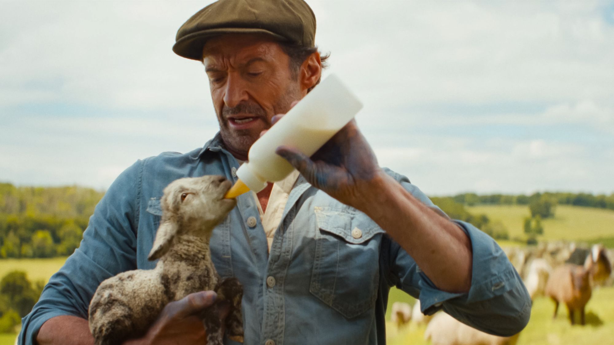 Hugh Jackman feeding a lamb in The Sheep Detectives.