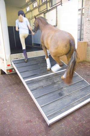 bee-ascending-ramp-1-e1498820847805.jpg
