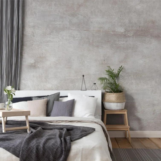 A gray faux plaster wall behind a bed and a side table with a plant.