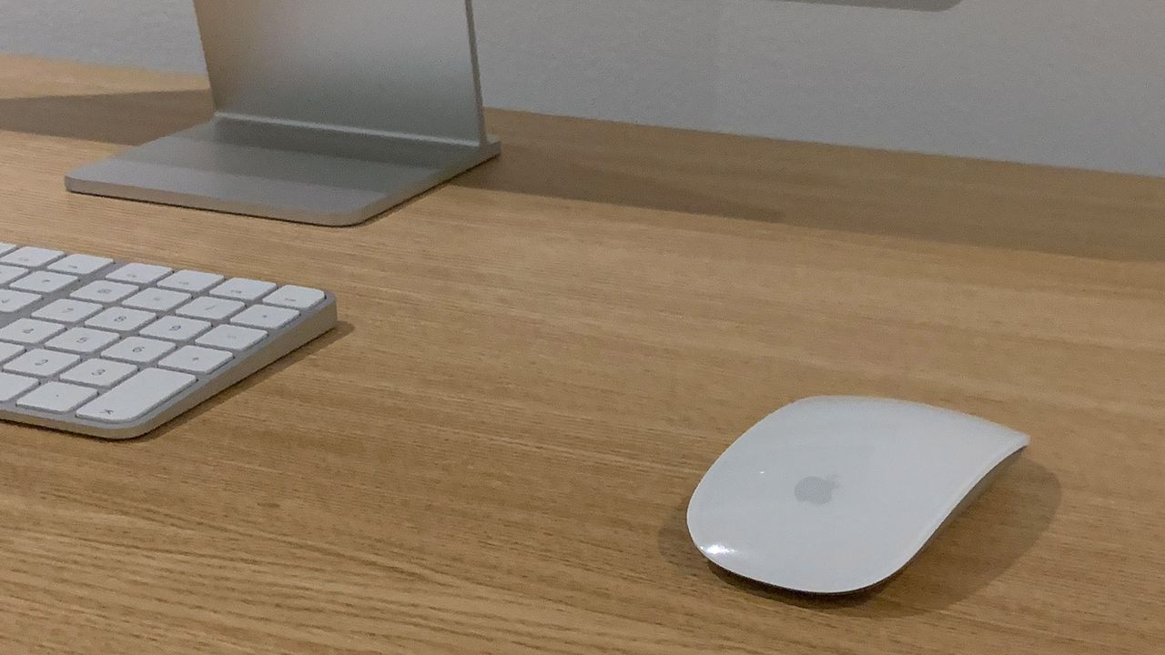 A photograph of the Apple Magic Mouse