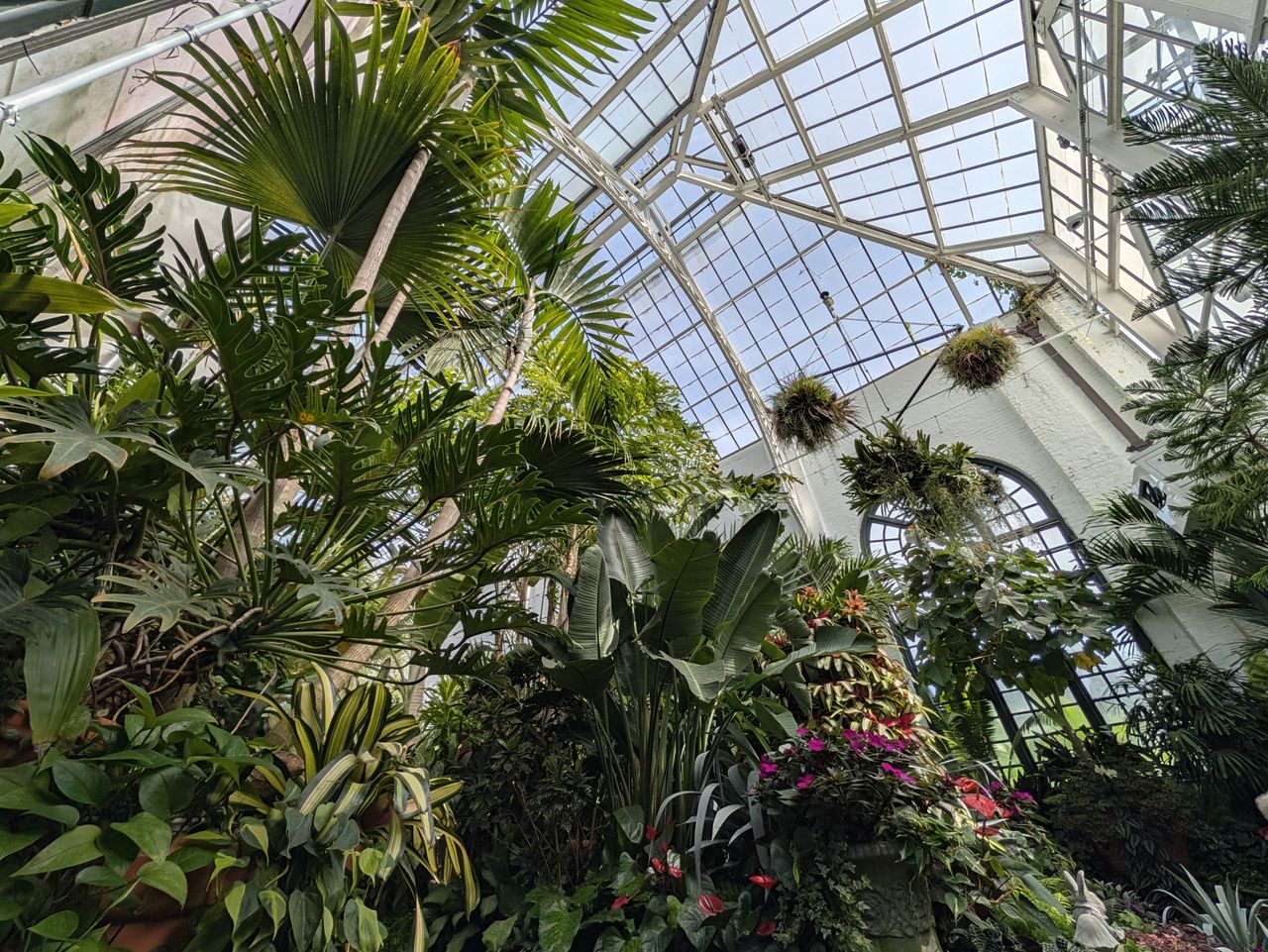 An ultrawide photo sample of a greenhouse, taken with a Google Pixel 11 Pro