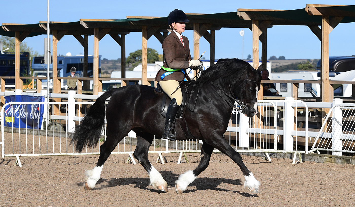 Heritage Show 16.10.2266700