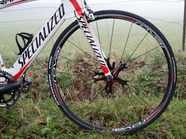 Specialized Transition Expert