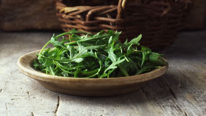 A bowl of harvested arugula