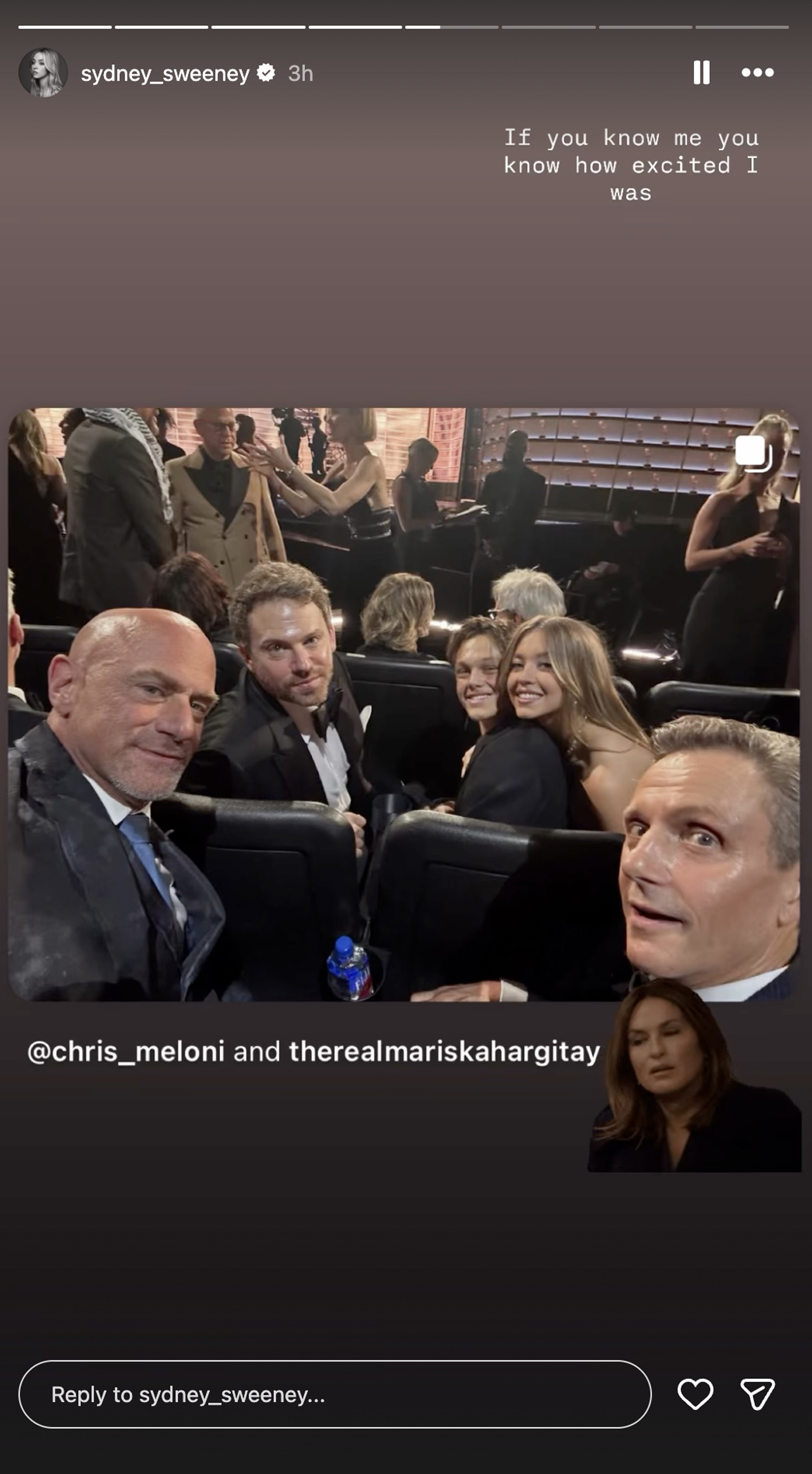 Sydney Sweeney&#039;s Instagram Story post depicting her and friends sitting near and taking a selfie with Christopher Meloni and Mariska Kahargitay at the Emmy Awards.
