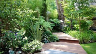 curved decked pathway leading through a garden