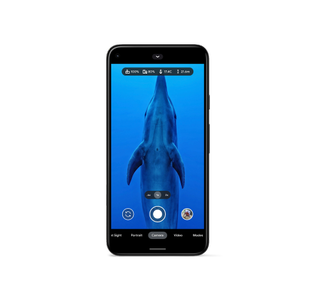 google pixel underwater photography