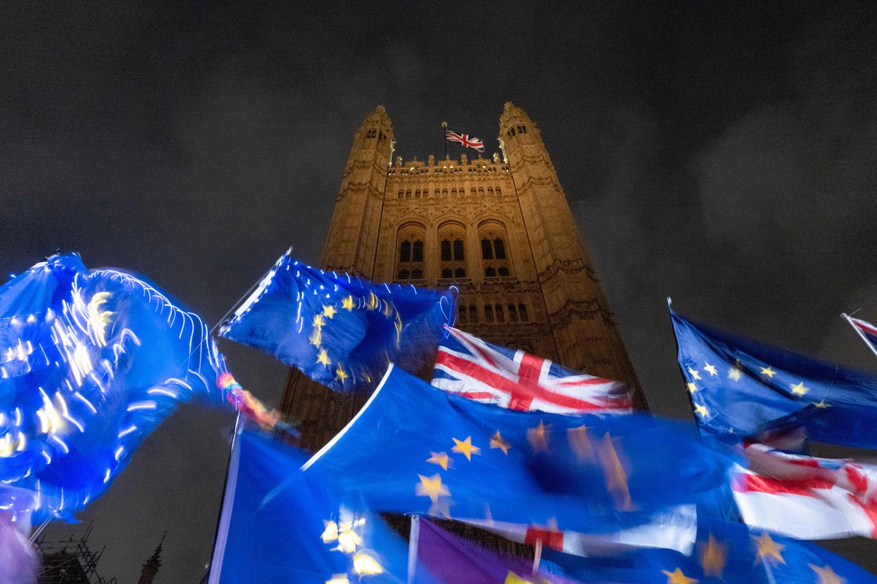 Brexit protesters