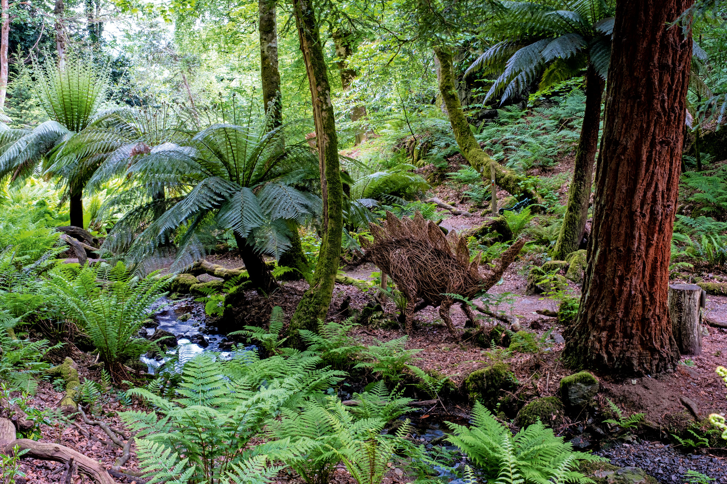 The fernery at Canonteign Falls, Devon, as seen in Country Life in April 2026
