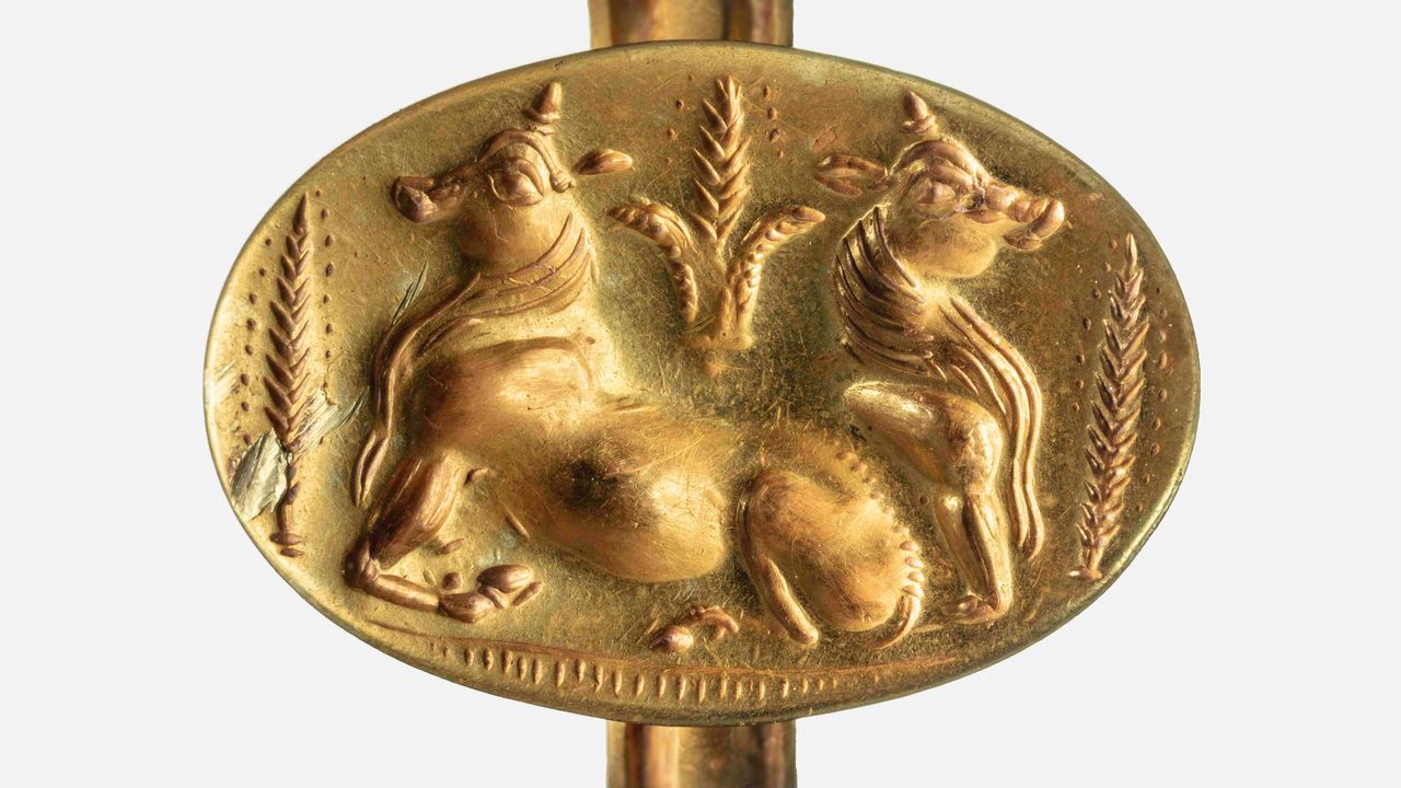 This gold ring, found in one of the two newly discovered tombs, shows two bulls surrounded by sheaves of barley.