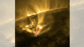 A close-up of the fiery yellow atmosphere of the sun, with whip-like lines of coronal rain streaking downward