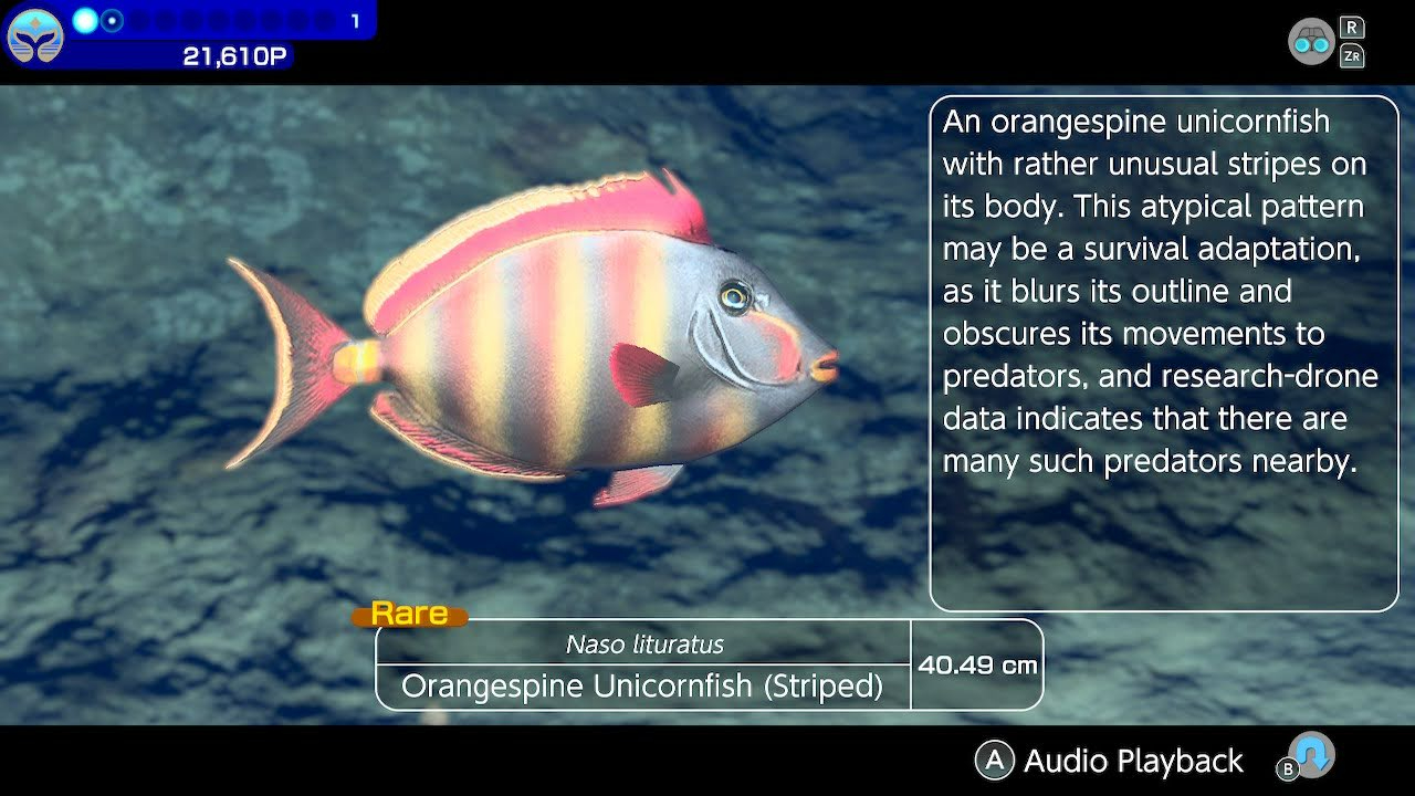 Endless Ocean Luminous screenshot showing an Orangespine Unicornfish
