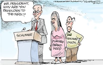 Political cartoon U.S. Democrats Chuck Schumer NRA Planned Parenthood Teacher's Union