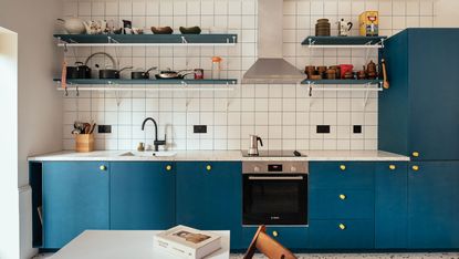 blue kitchen in charles holland designed house in east london