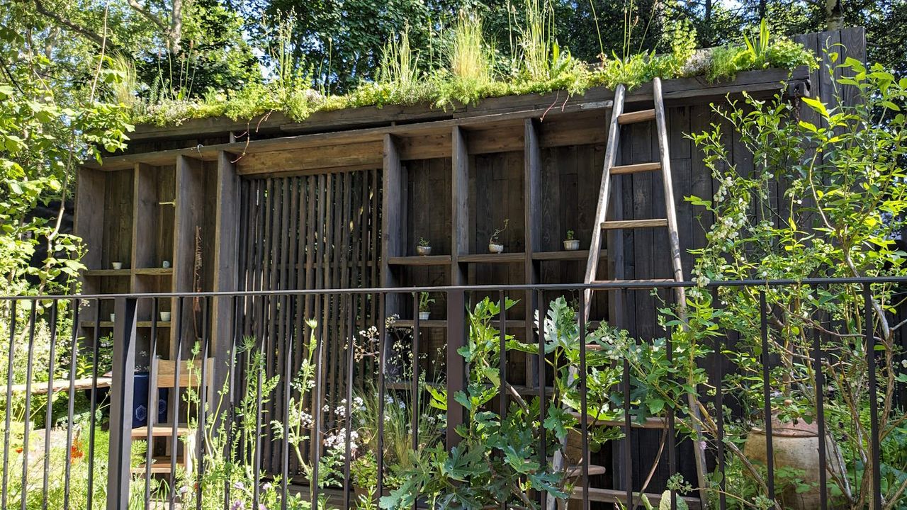 Tomie’s Cuisine the Nobonsai balcony garden at the RHS Chelsea Flower Show 2024